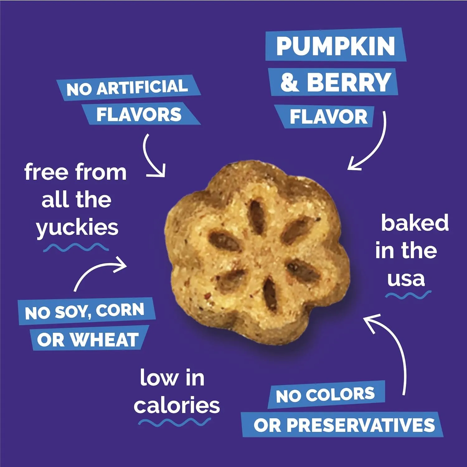 Fruitables Skinny Mini Dog Treats, Healthy Pumpkin Treat for Dogs, Low Calorie & Delicious, Puppy Training, Free of Wheat, Corn and Soy, Made in the USA, Pumpkin and Berry Flavor, 5oz
