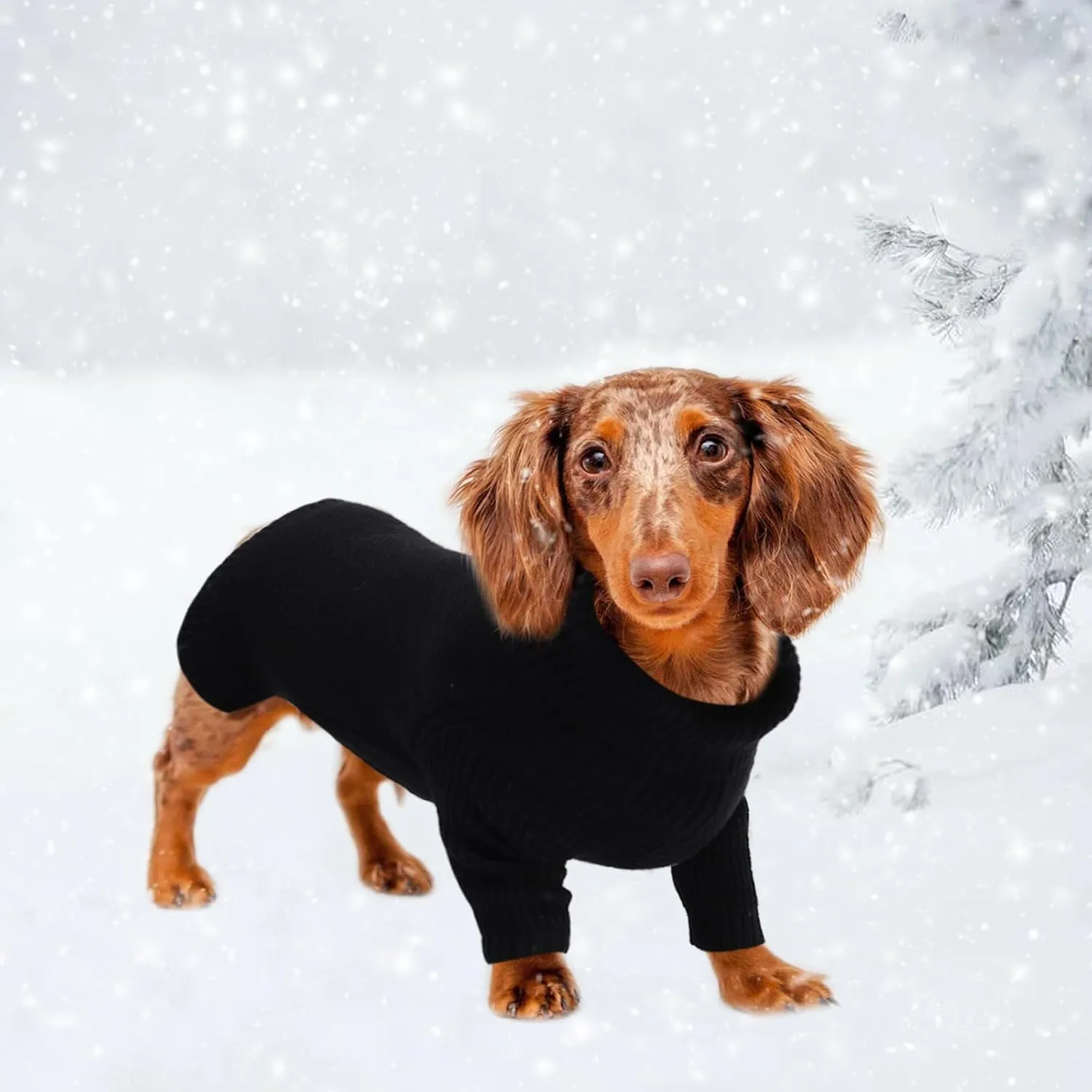 Geyecete Dachshund Turtleneck Sweater, Cold Weather Cable Knit Dog Pullover - Black, XS