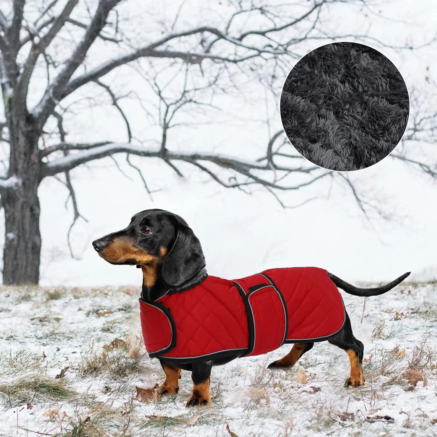 Geyecete Warm Thermal Quilted Dachshund Coat, Dog Winter Coat with Warm Fleece Lining, Outdoor Dog Apparel with Adjustable Bands for Medium, Large Dog-Red-M
