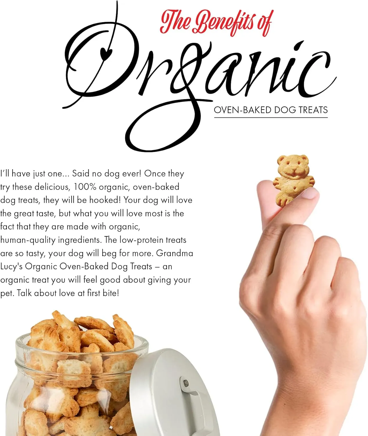 Grandma Lucy's Organic Oven Baked Dog Treats - Apple, 14 oz