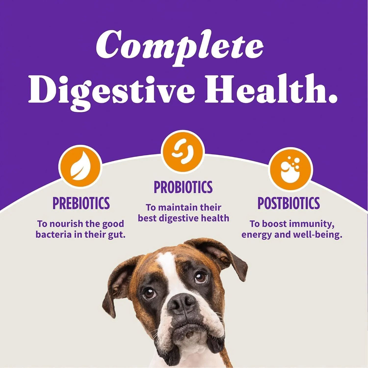 Halo Holistic Puppy Food, Cage Free Chicken & Brown Rice Recipe, Healthy Grains Dry Dog Food, Complete Digestive Health, 3.5 lb Bag