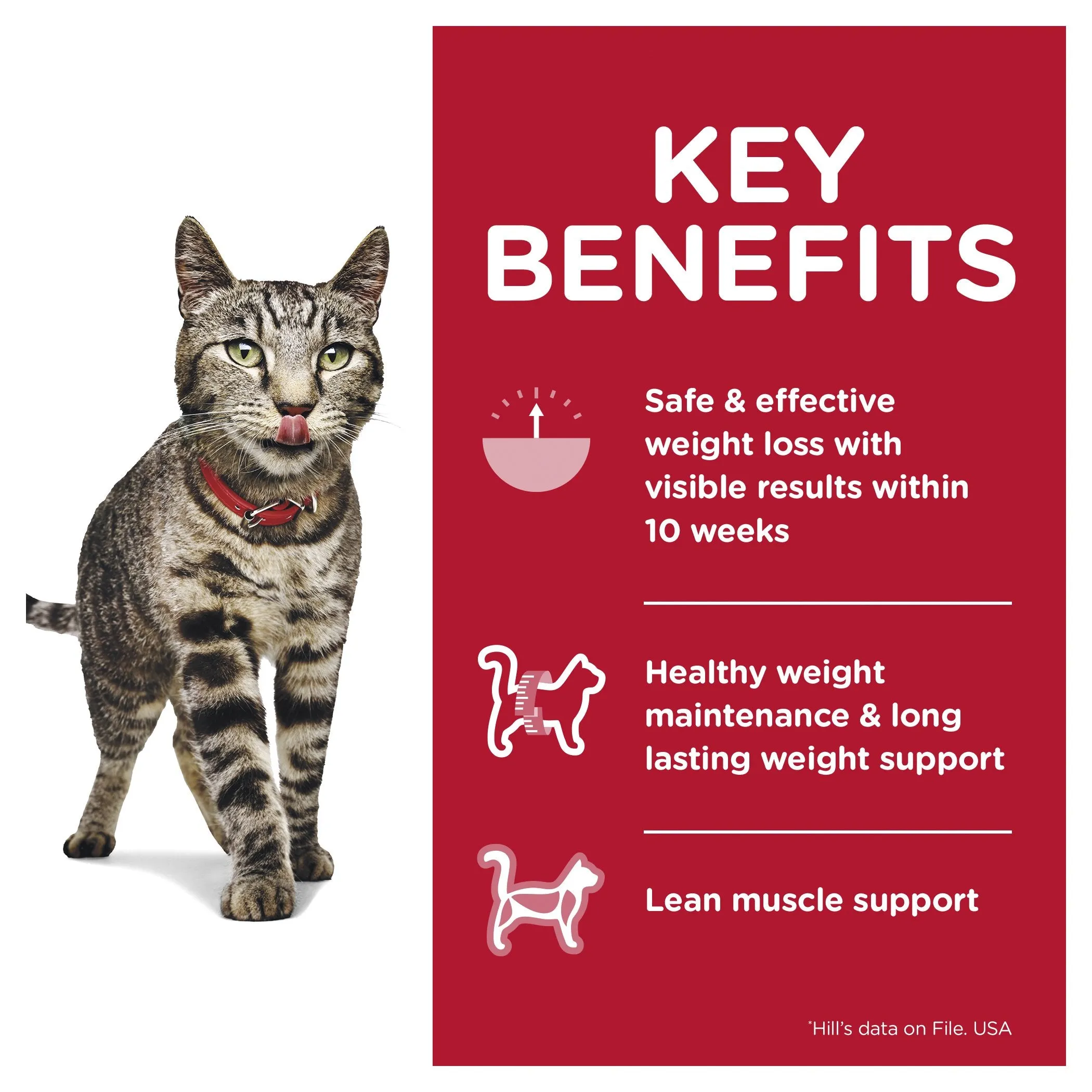 Hills Science Diet Adult Perfect Weight Salmon Cat Food Pouches 85g^^^