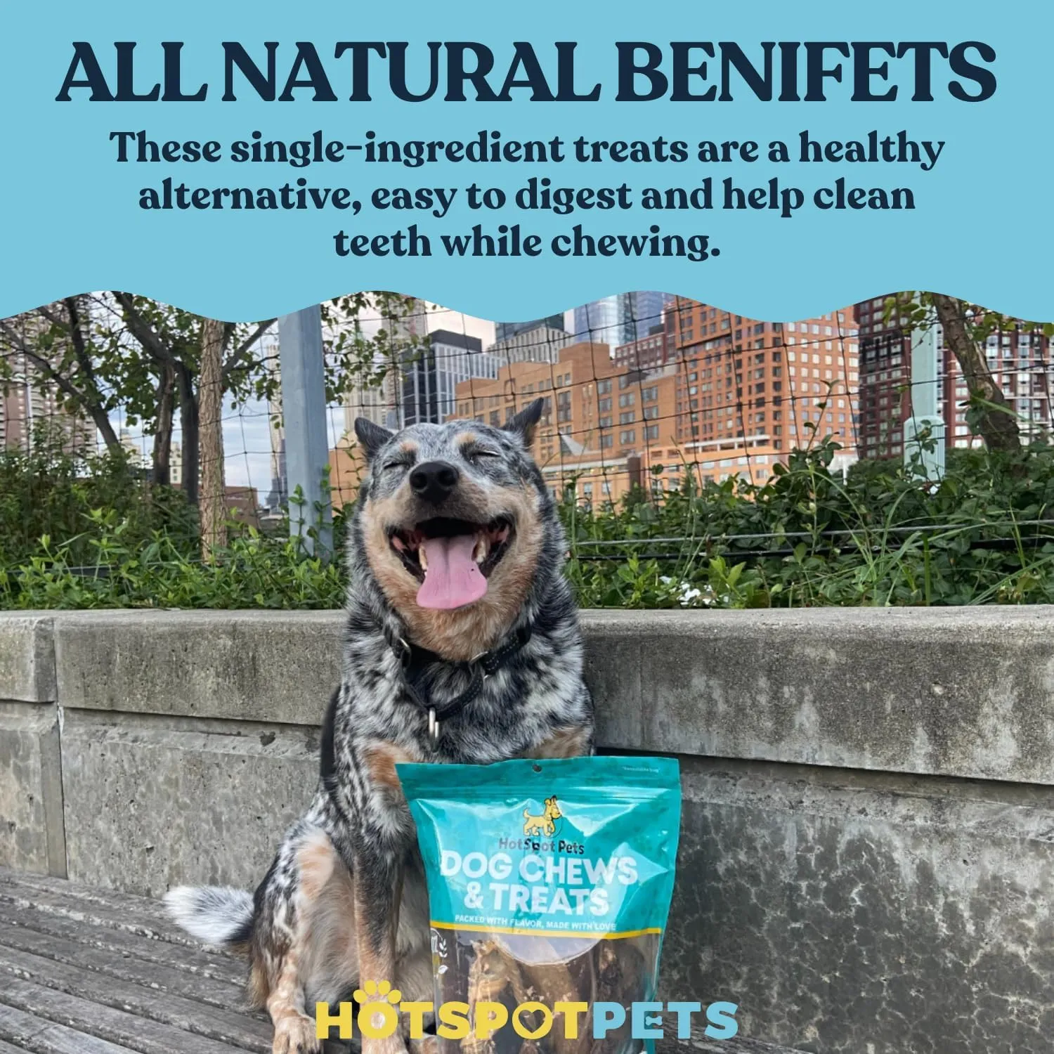 hotspot pets Freeze Dried Salmon Skin Flakes (1LB) | Single Ingredient Fish Treats for Dogs & Cats | Rawhide-Free All Natural Grain Free Topper with Omega 3-6 Fish Oil
