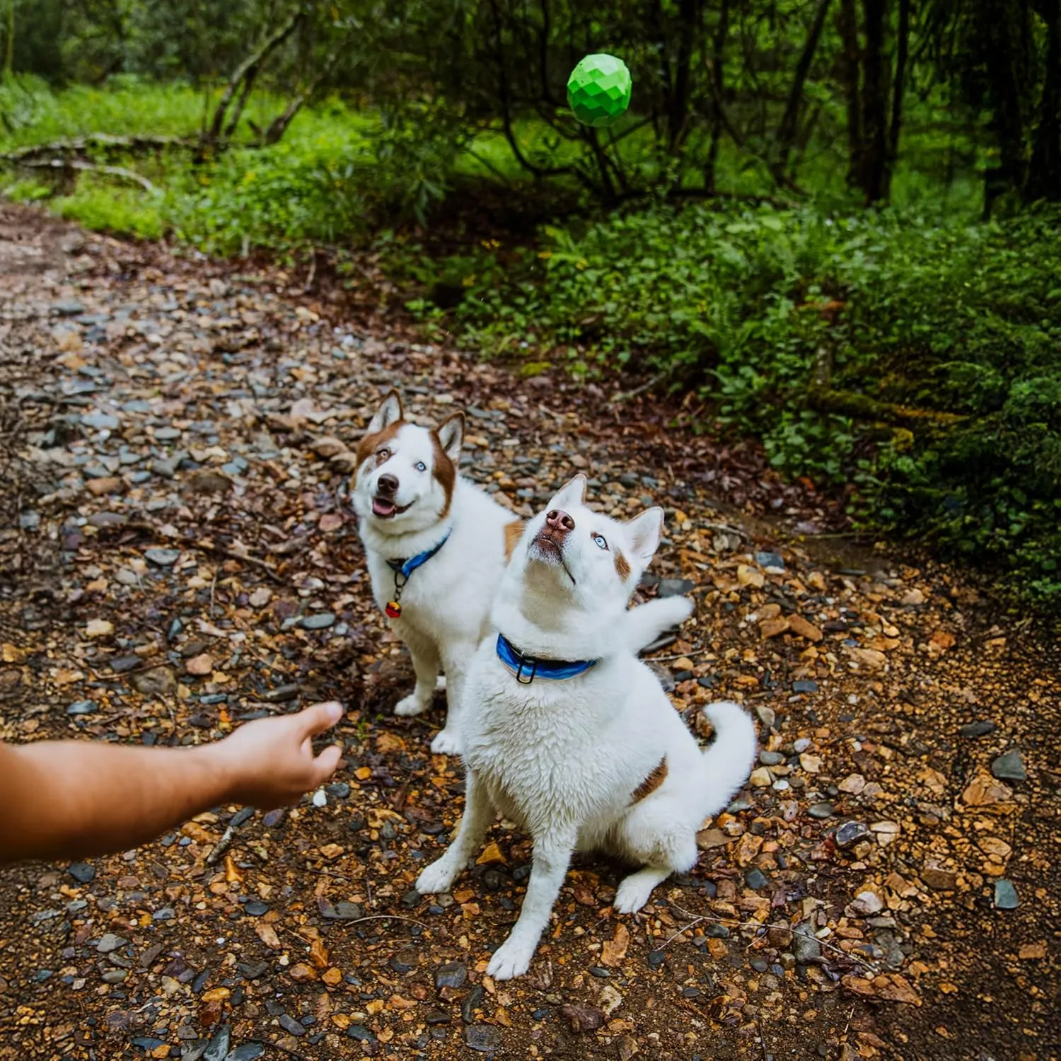 Hound2O Outdoor Dog Toys - Squeaky Fetch Ball, Green - Tough, Engaging, & Interactive Toys for All Breeds - Chew, Chase & Fetch - Durable Non-Toxic Materials That Float, Easy to Clean for Outdoor Play