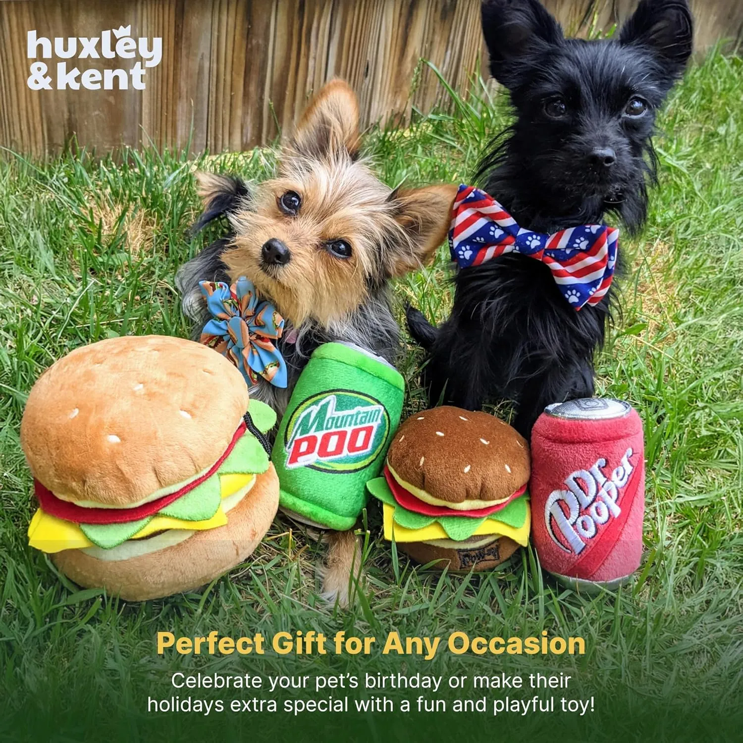 Huxley & Kent for Dogs - Dr Pooper (Small) - Power Plush Funny Dog Toy with Squeaker - H&K Squeaky