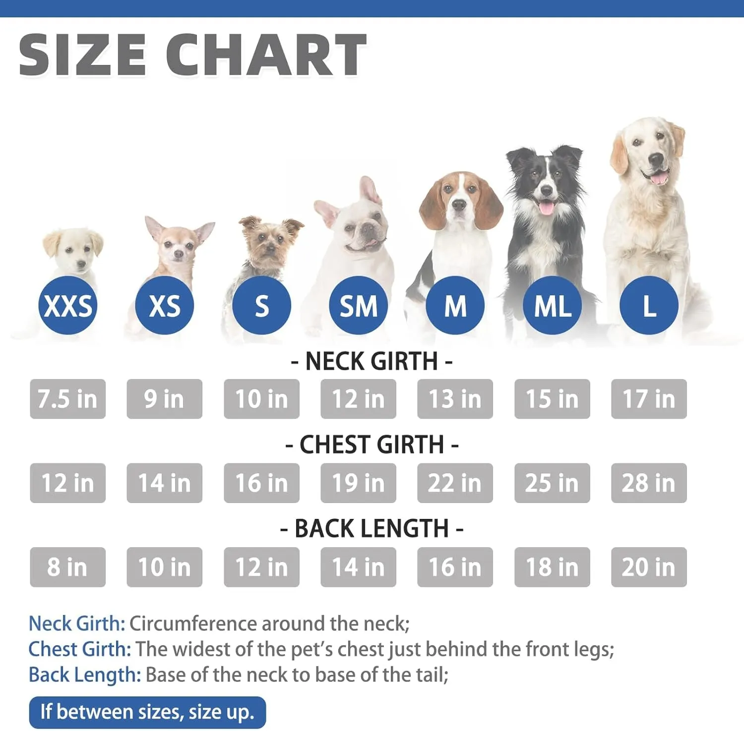 KOOLTAIL Dog Hoodie Pet Clothes Sweater with Hat and Pocket for Small Medium Large Dogs, Warm Soft Dog Cold Weather Coat, Clover Laminated Cotton Hooded Sweatshirt Outfit for Puppy Cats, Blue XS