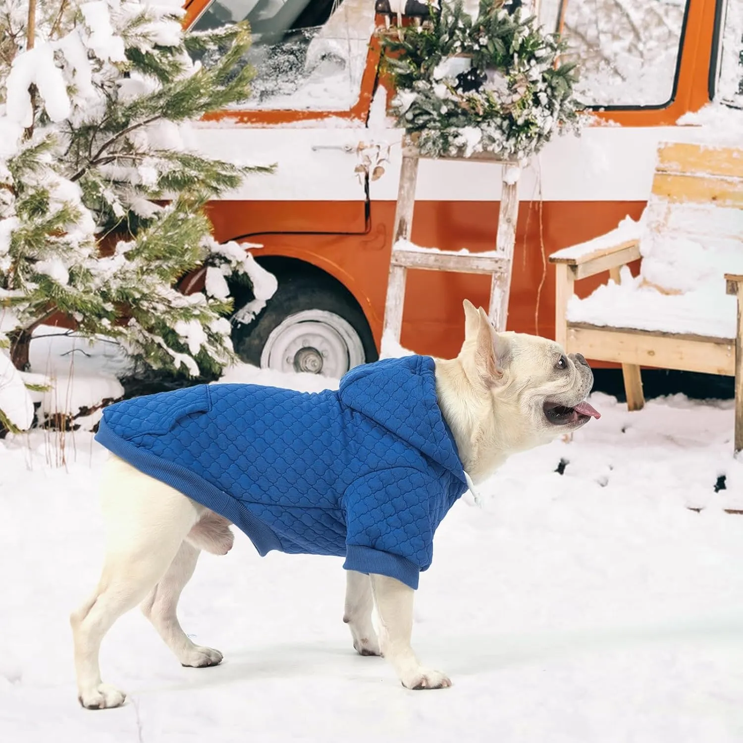 KOOLTAIL Dog Hoodie Pet Clothes Sweater with Hat and Pocket for Small Medium Large Dogs, Warm Soft Dog Cold Weather Coat, Clover Laminated Cotton Hooded Sweatshirt Outfit for Puppy Cats, Blue XS