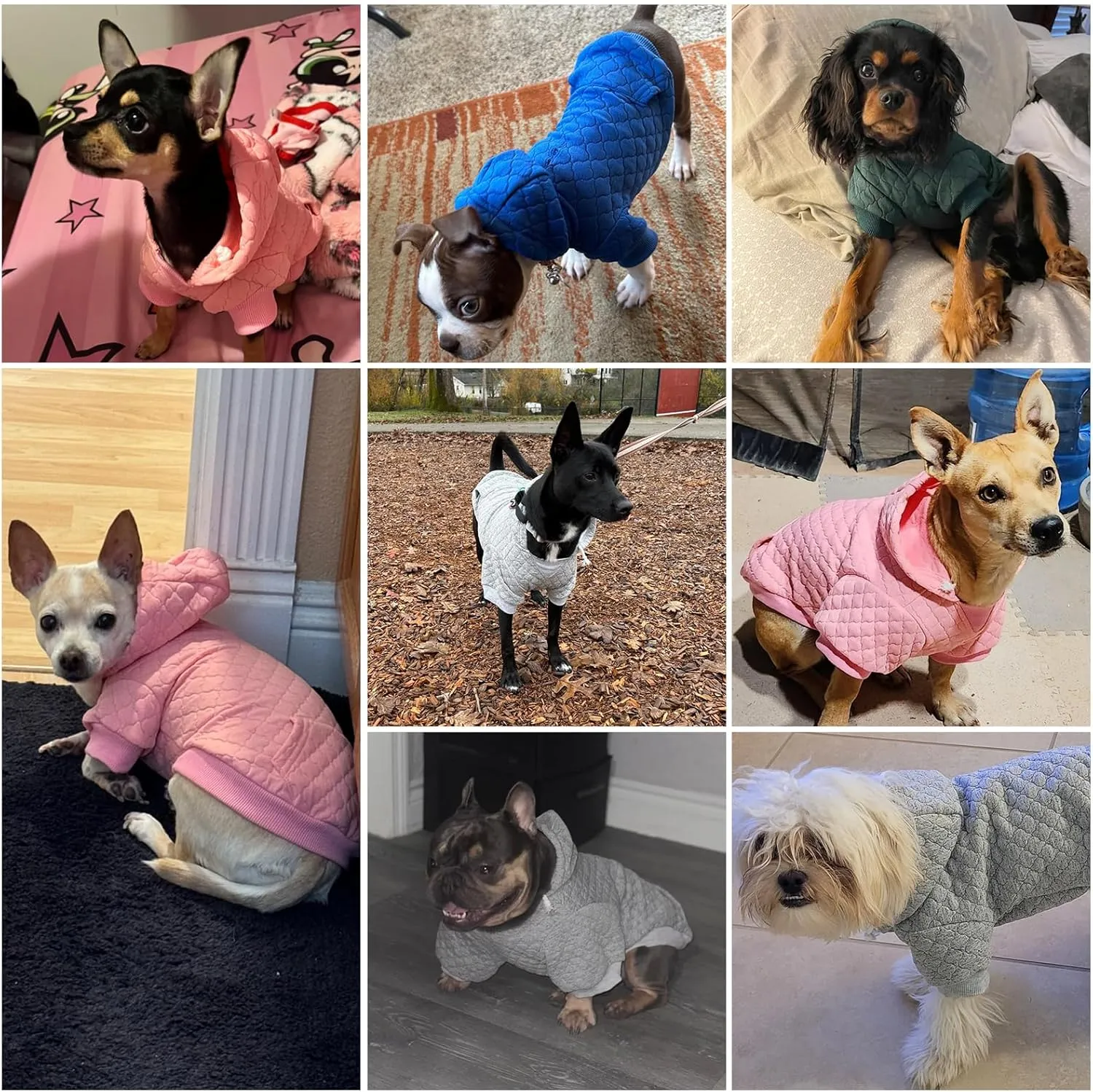 KOOLTAIL Dog Hoodie Pet Clothes Sweater with Hat and Pocket for Small Medium Large Dogs, Warm Soft Dog Cold Weather Coat, Clover Laminated Cotton Hooded Sweatshirt Outfit for Puppy Cats, Pink XXS