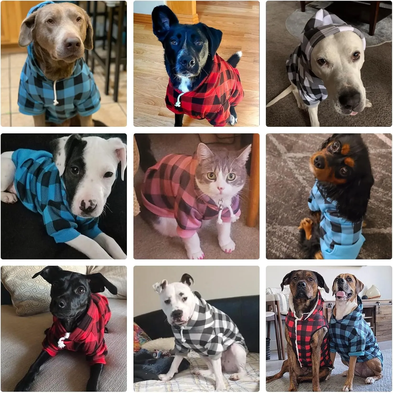 KOOLTAIL Plaid Dog Hoodie Pet Clothes Sweater with Hat and Pocket for Small Medium Large Size Dogs, Soft Winter Warm Dog Cold Weather Coat, Fleece Fall Dog Hooded Sweatshirt for Puppy Cats, Blue XS