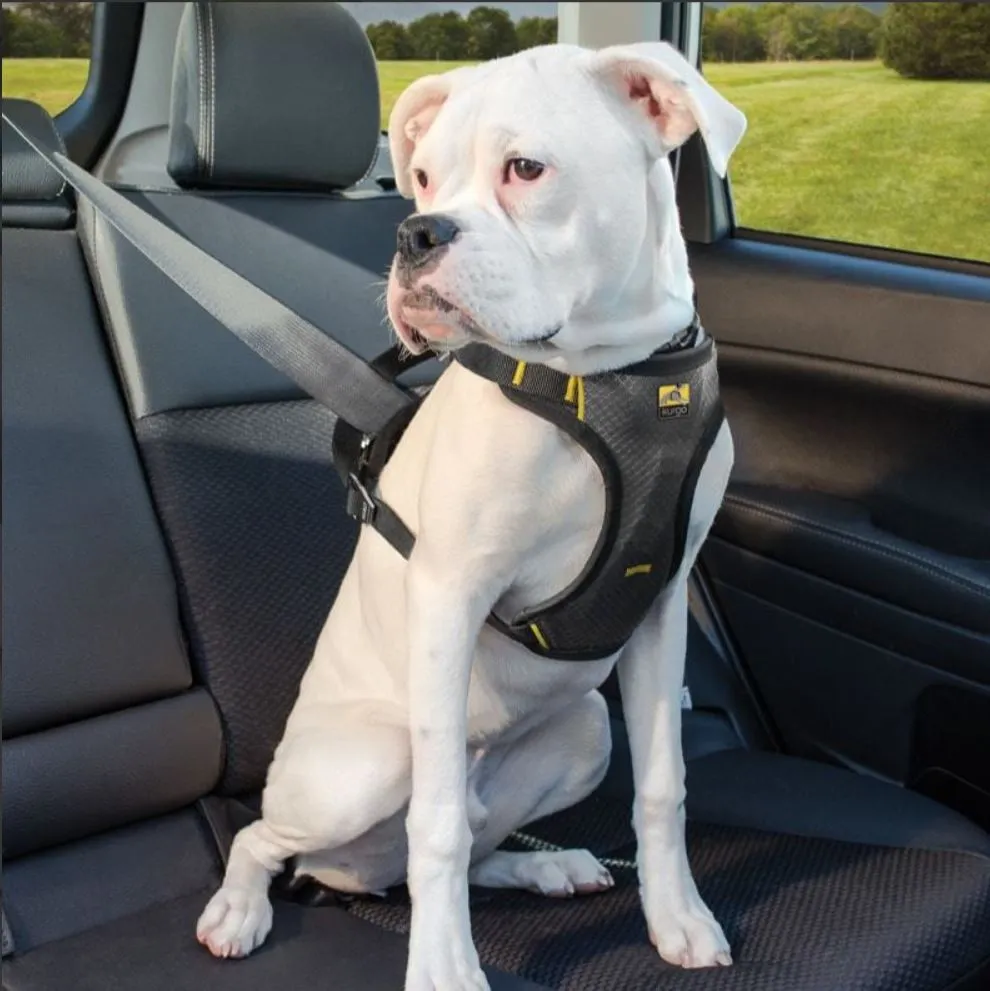 Kurgo Impact Dog Car Harness