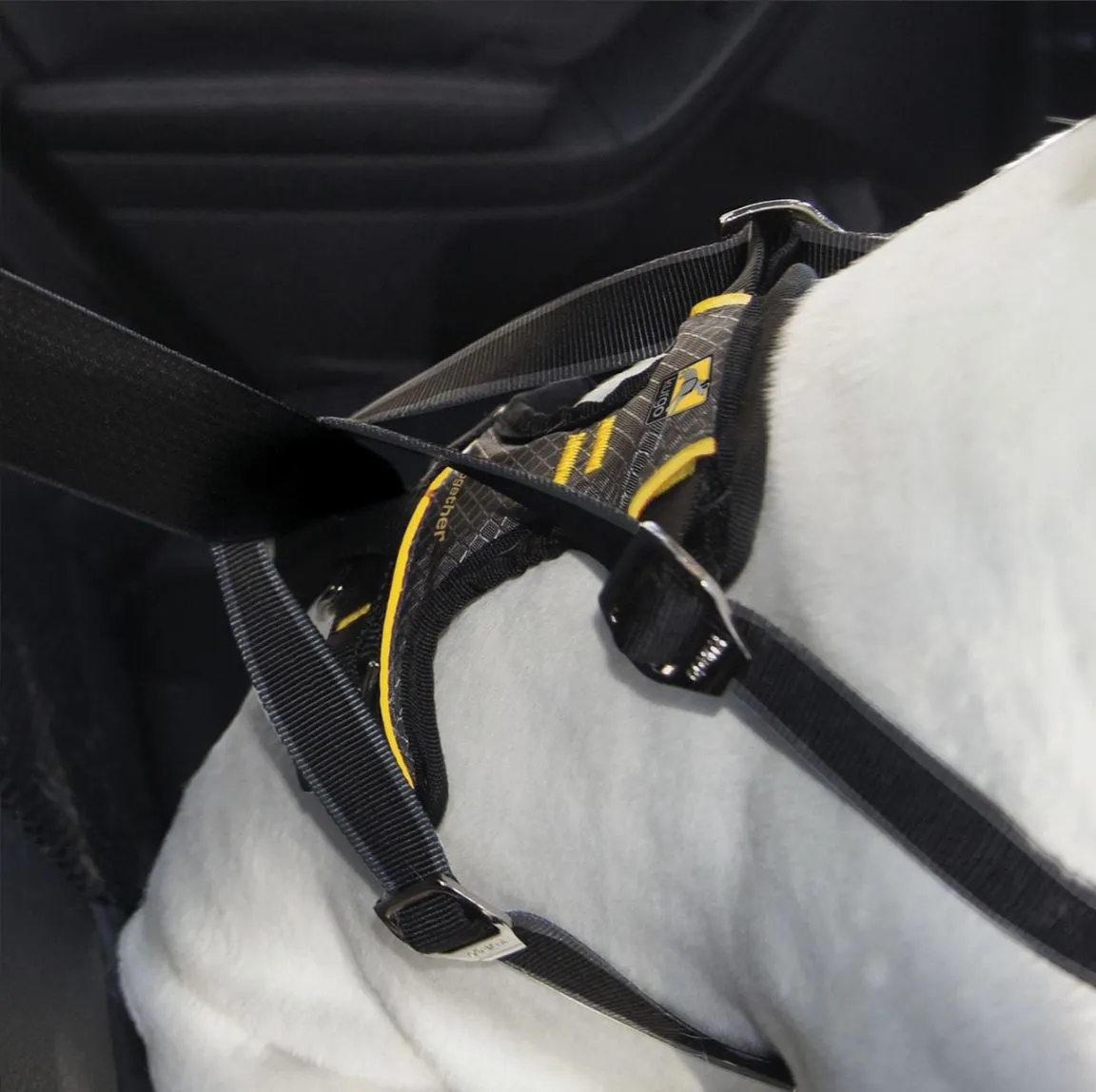 Kurgo Impact Dog Car Harness