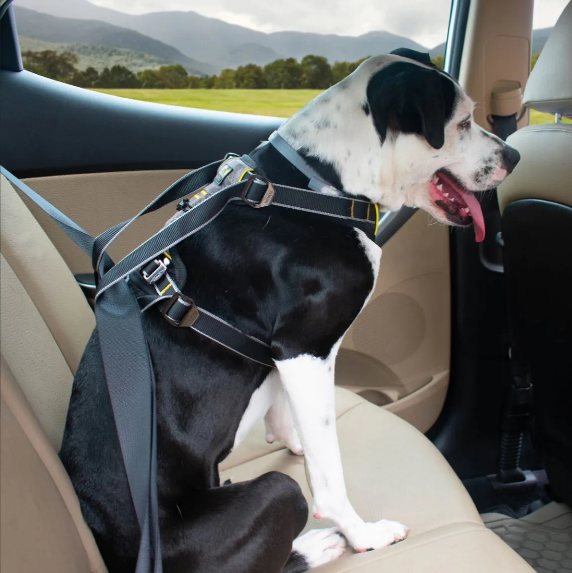 Kurgo Impact Dog Car Harness