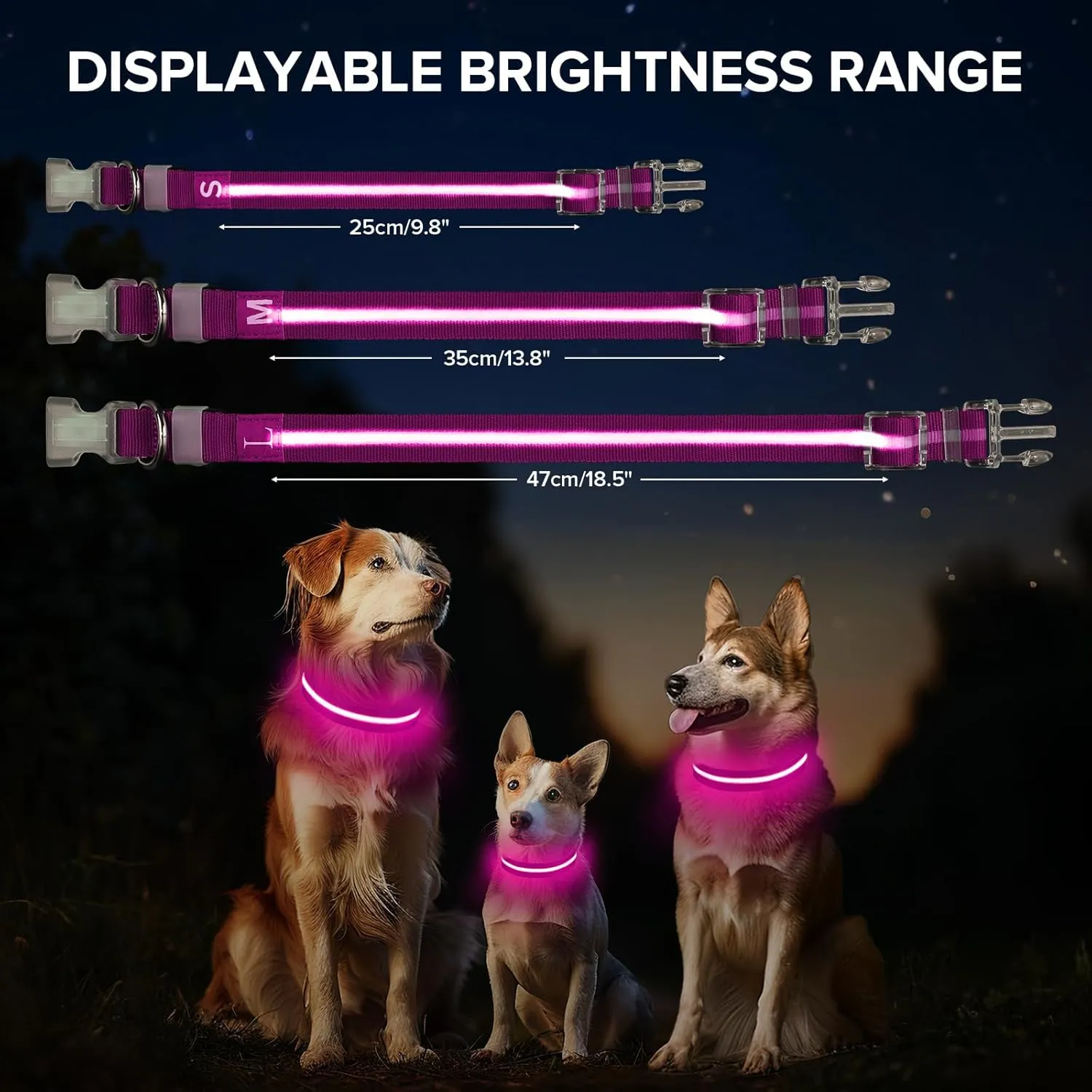 Led Dog Collar for Night Walking,Rechargeable Light Up Dog Collar Led Color,Glow in The Dark Dog Collars Waterproof for Small Medium Large Dogs (Pink, Small)