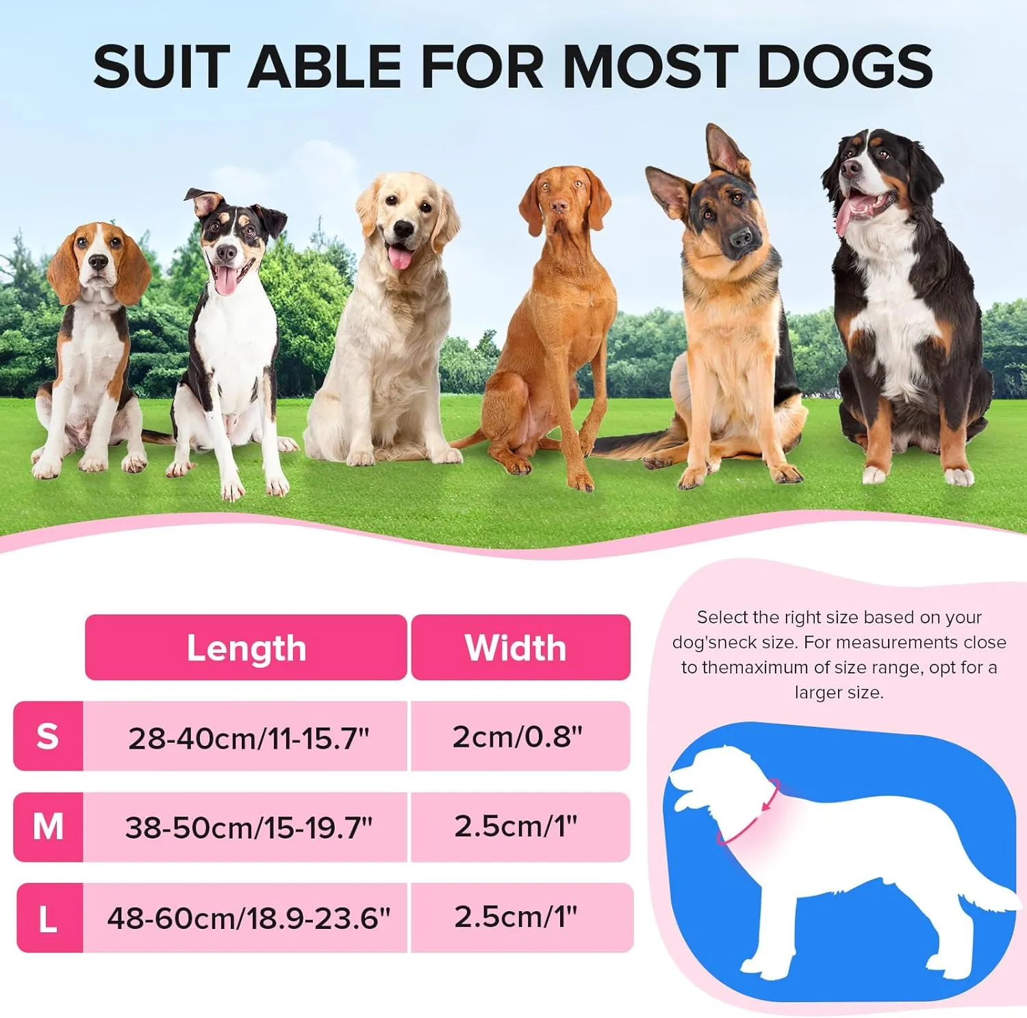 Led Dog Collar for Night Walking,Rechargeable Light Up Dog Collar Led Color,Glow in The Dark Dog Collars Waterproof for Small Medium Large Dogs (Pink, Small)