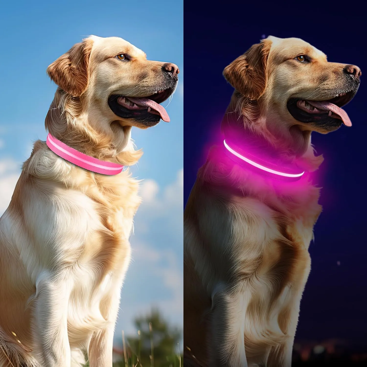 Led Dog Collar for Night Walking,Rechargeable Light Up Dog Collar Led Color,Glow in The Dark Dog Collars Waterproof for Small Medium Large Dogs (Pink, Small)