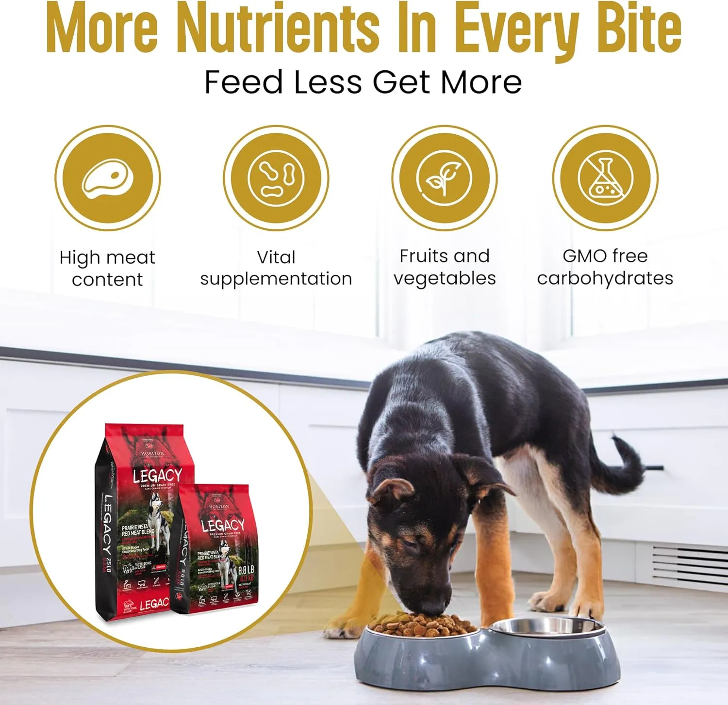 LEGACY All-Life-Stages Dry Dog Food | Prairie Vista Red Meat Dog Food Blend | Grain-Free Dog Food, Rich in Pork & Lamb | 25 lbs