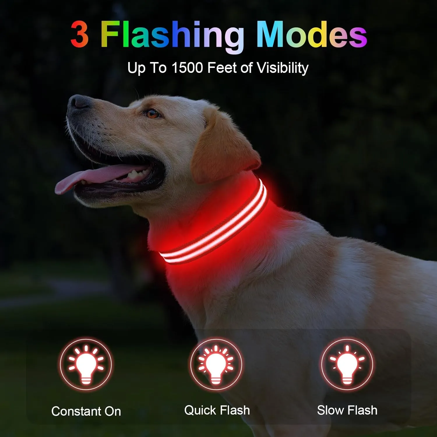 Light Up Dog Collar Rechargable,Reflective LED Collars for Small Medium Large Dogs,Lighted Dog Collars Lights for Night Walking-Waterproof,Red,M