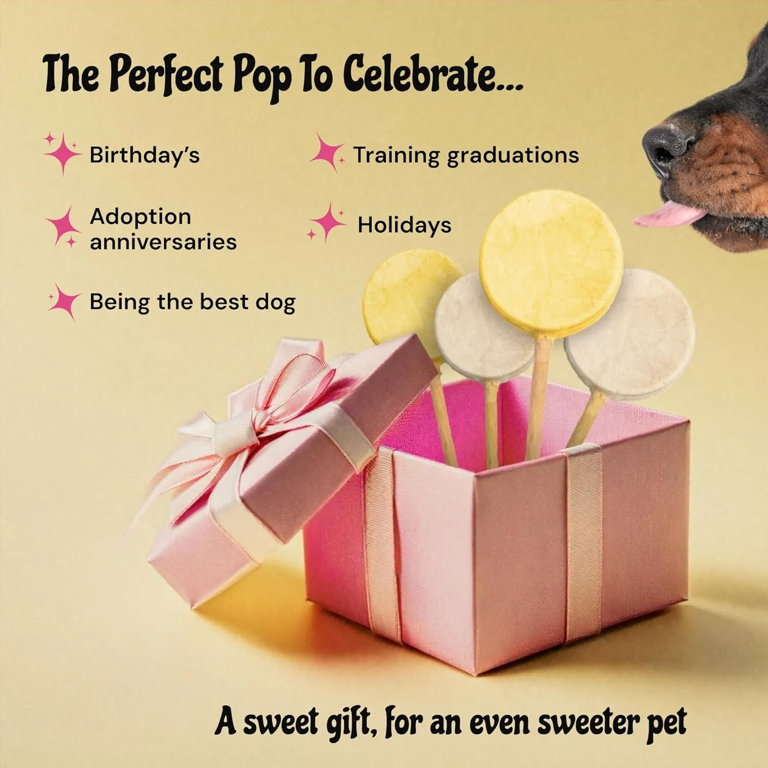 MalsiPree Lollipop Dog Birthday Treats - Low Calorie, High Protein Chicken Recipe with Digestion Friendly Pumpkin & Goat Milk - Dog Treats for Birthdays & Puppy Training (8 Pack)