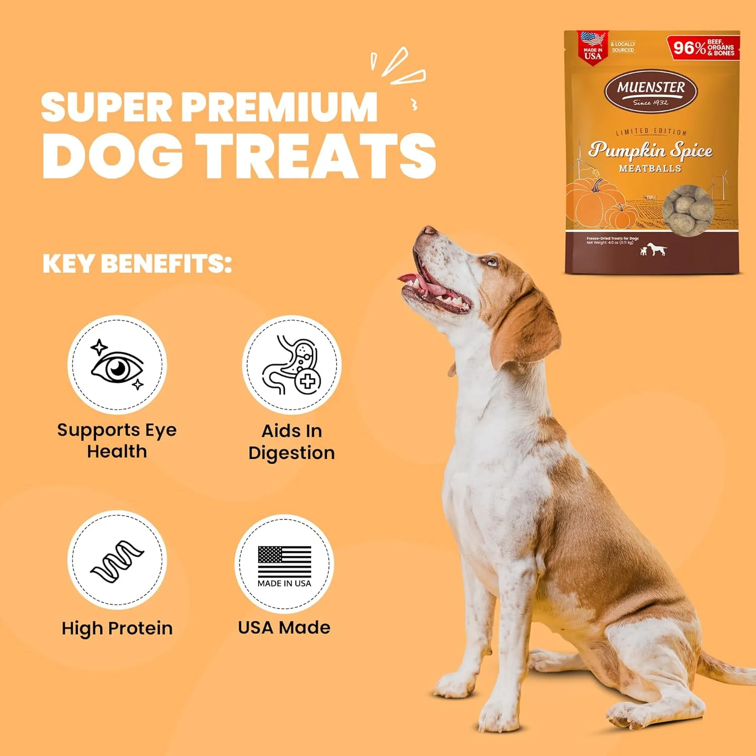 Muenster Freeze Dried Pumpkin Meatball Dog Treats 4 oz - Grain Free, Made in USA