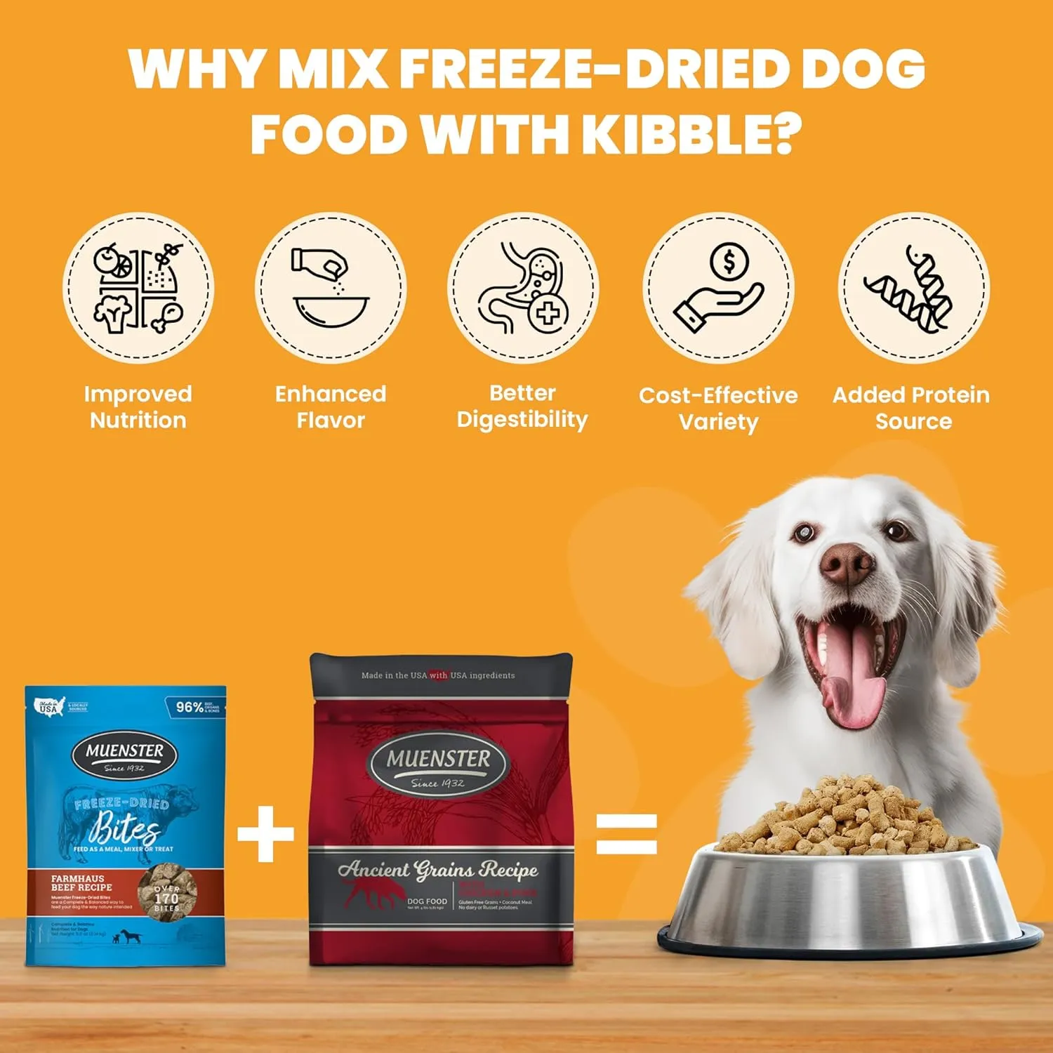 Muenster Freeze Dried Pumpkin Meatball Dog Treats 4 oz - Grain Free, Made in USA
