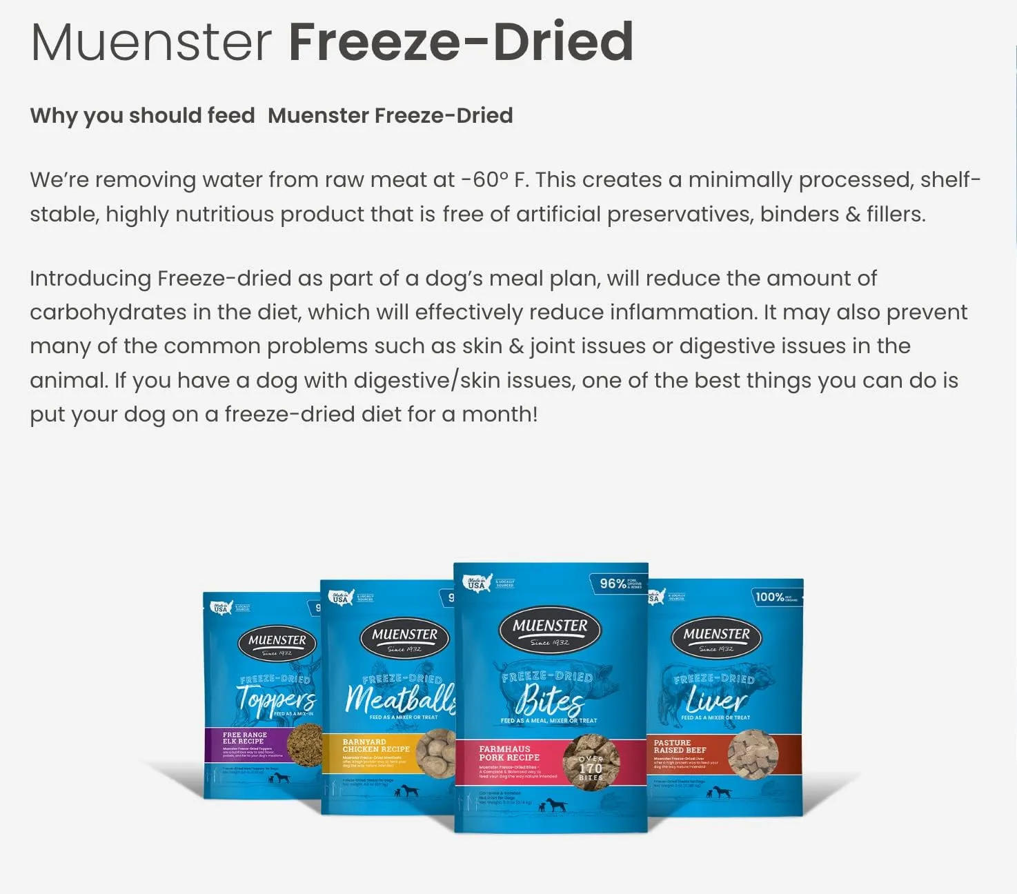 Muenster Freeze Dried Pumpkin Meatball Dog Treats 4 oz - Grain Free, Made in USA