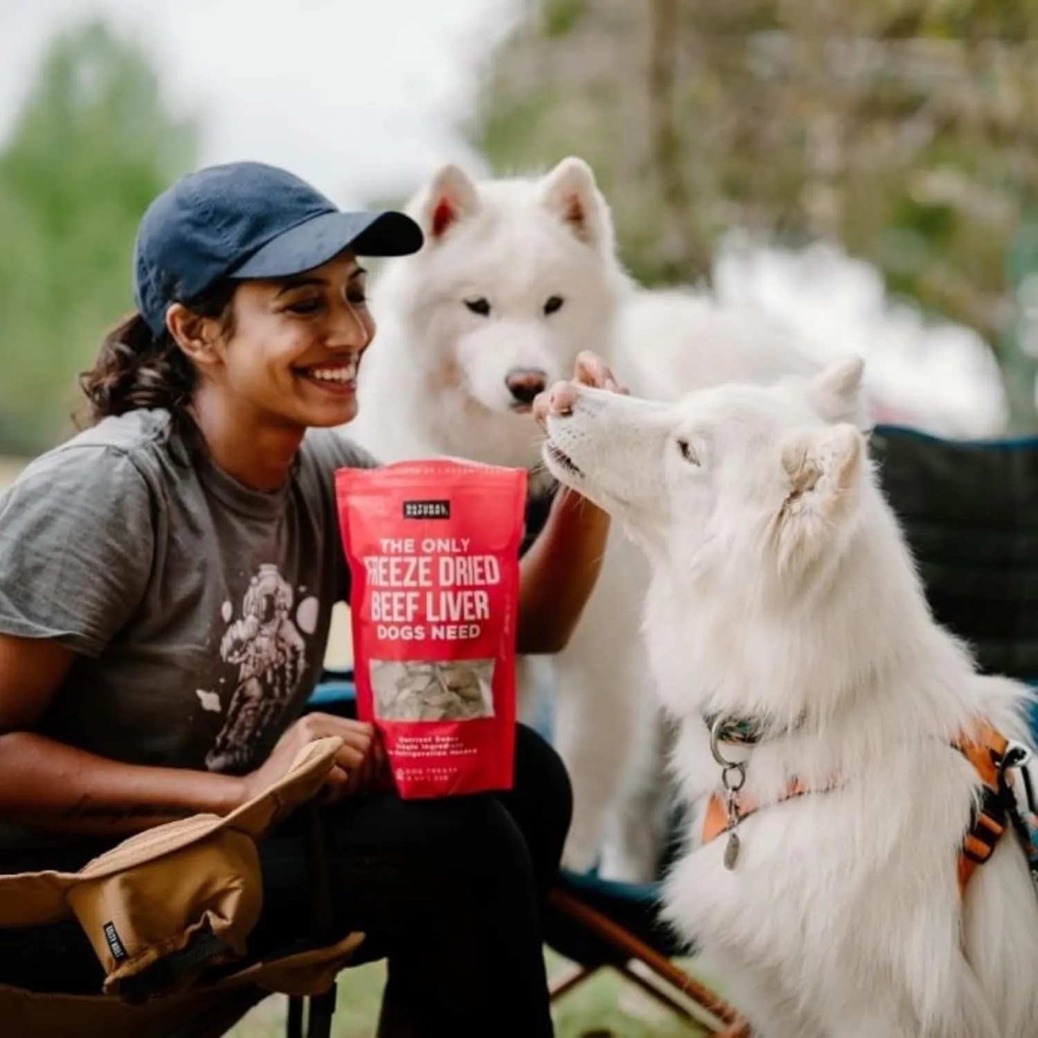 Natural Rapport Beef Liver Dog Treats - The Only Freeze Dried Beef Liver Dogs Need - Grain-Free Beef Bites, Dog Treats for Small and Large Dogs (4 oz.)