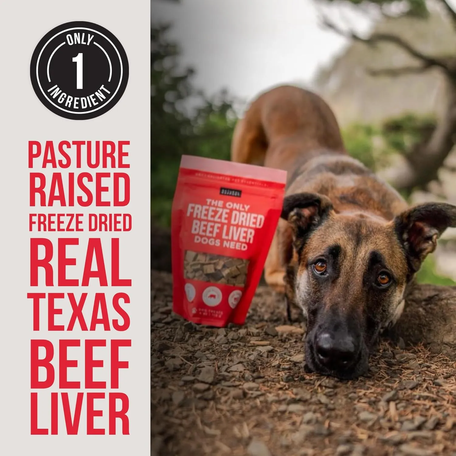 Natural Rapport Beef Liver Dog Treats - The Only Freeze Dried Beef Liver Dogs Need - Grain-Free Beef Bites, Dog Treats for Small and Large Dogs (4 oz.)