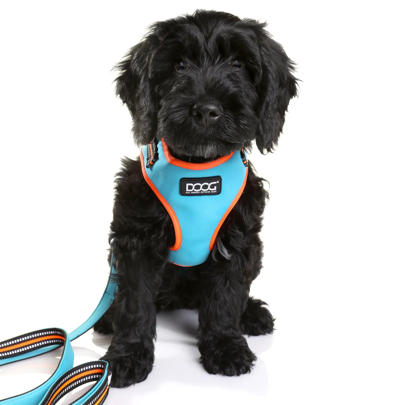 Neoflex Soft Harness - (Neon High Vis) Beethoven
