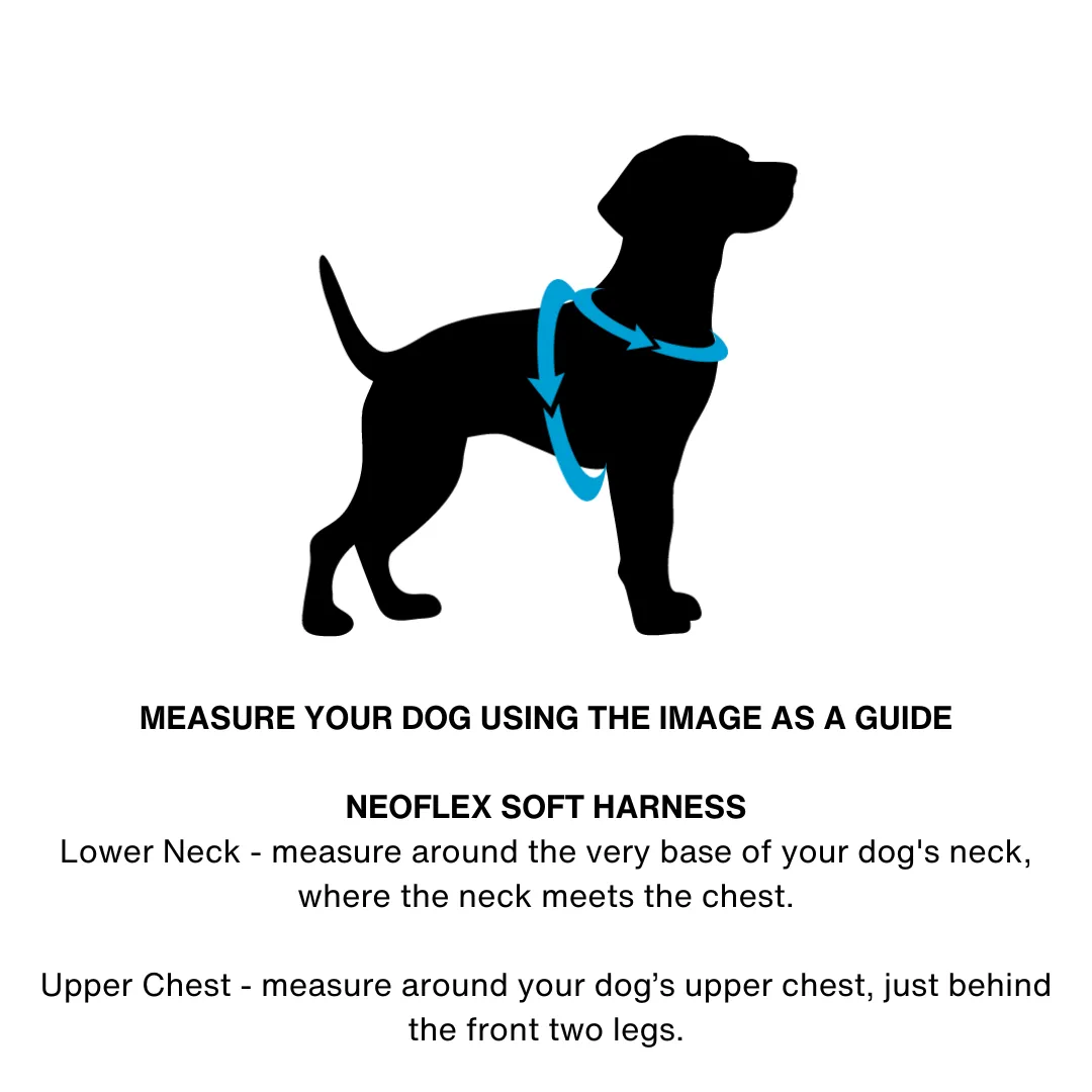 Neoflex Soft Harness - Pluto
