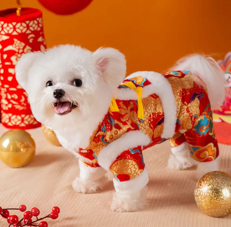 New Year clothes for small and medium-sized dogs