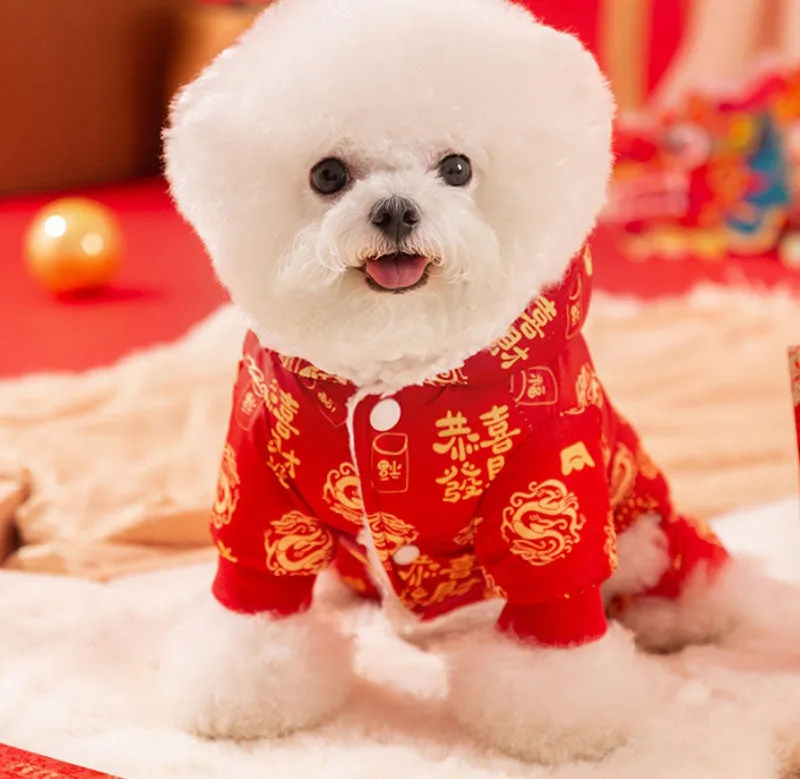 New Year clothes for small and medium-sized dogs