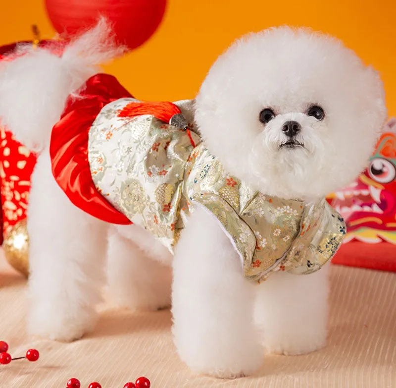 New Year clothes for small and medium-sized dogs