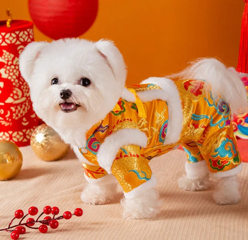 New Year clothes for small and medium-sized dogs