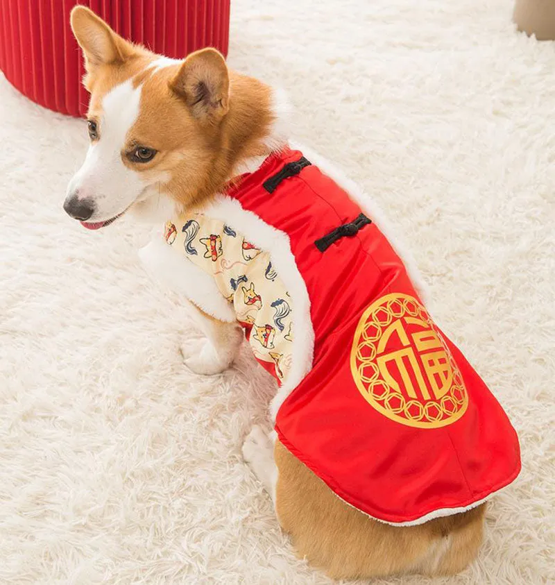 New Year's winter warm clothing for Corgi dogs in autumn and winter