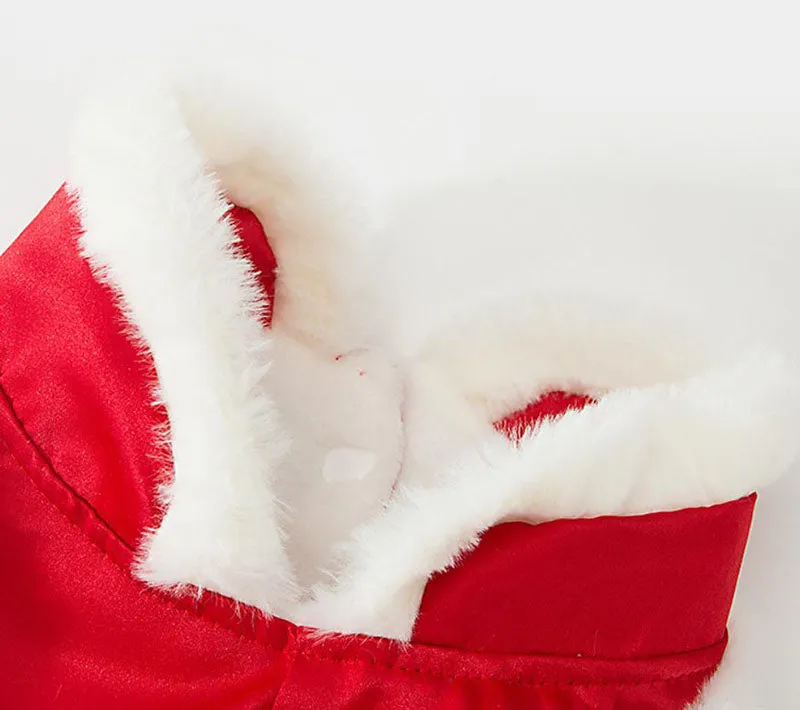 New Year's winter warm clothing for Corgi dogs in autumn and winter