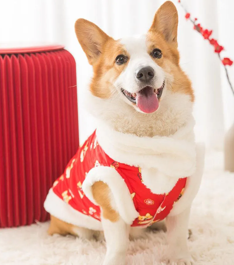 New Year's winter warm clothing for Corgi dogs in autumn and winter