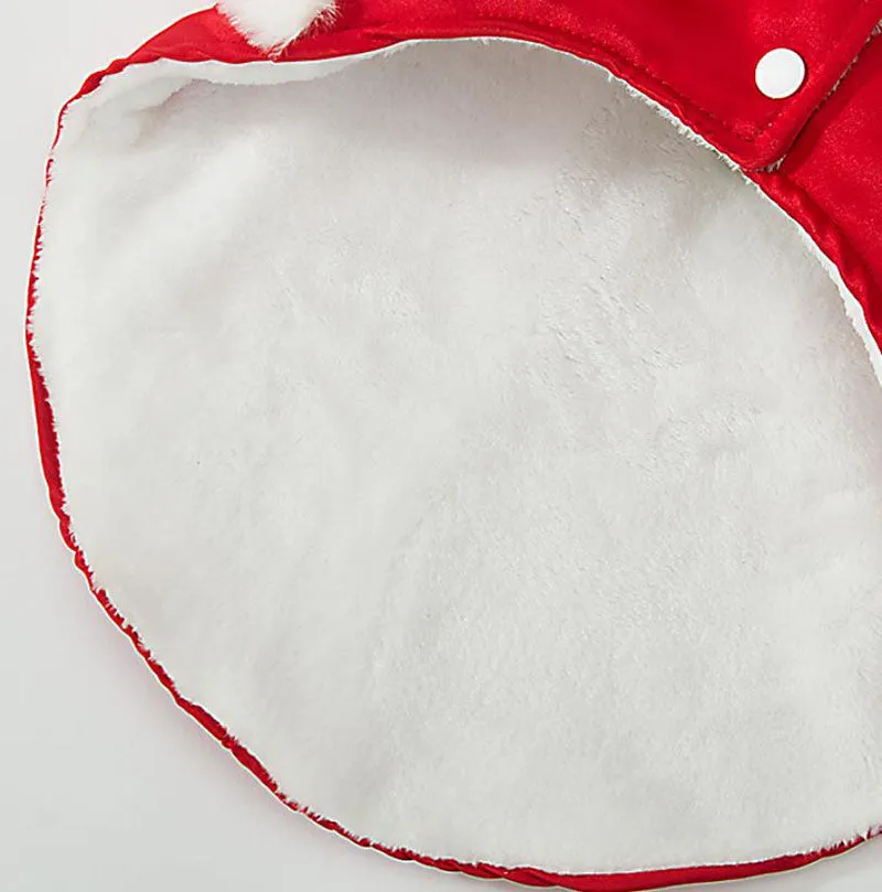 New Year's winter warm clothing for Corgi dogs in autumn and winter