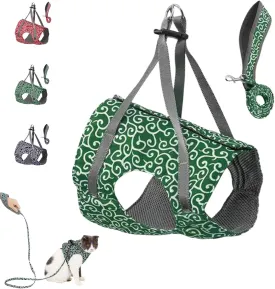 Niowatchted Cat Dogs Vest Harness and Leash, Anti-Break Away Chest Strap, Cats Clothes,Breathable Cat Harness Set, Soft Adjustable Vest Harnesses for Cats for Girl&Boy Cat Walking (Green, S)