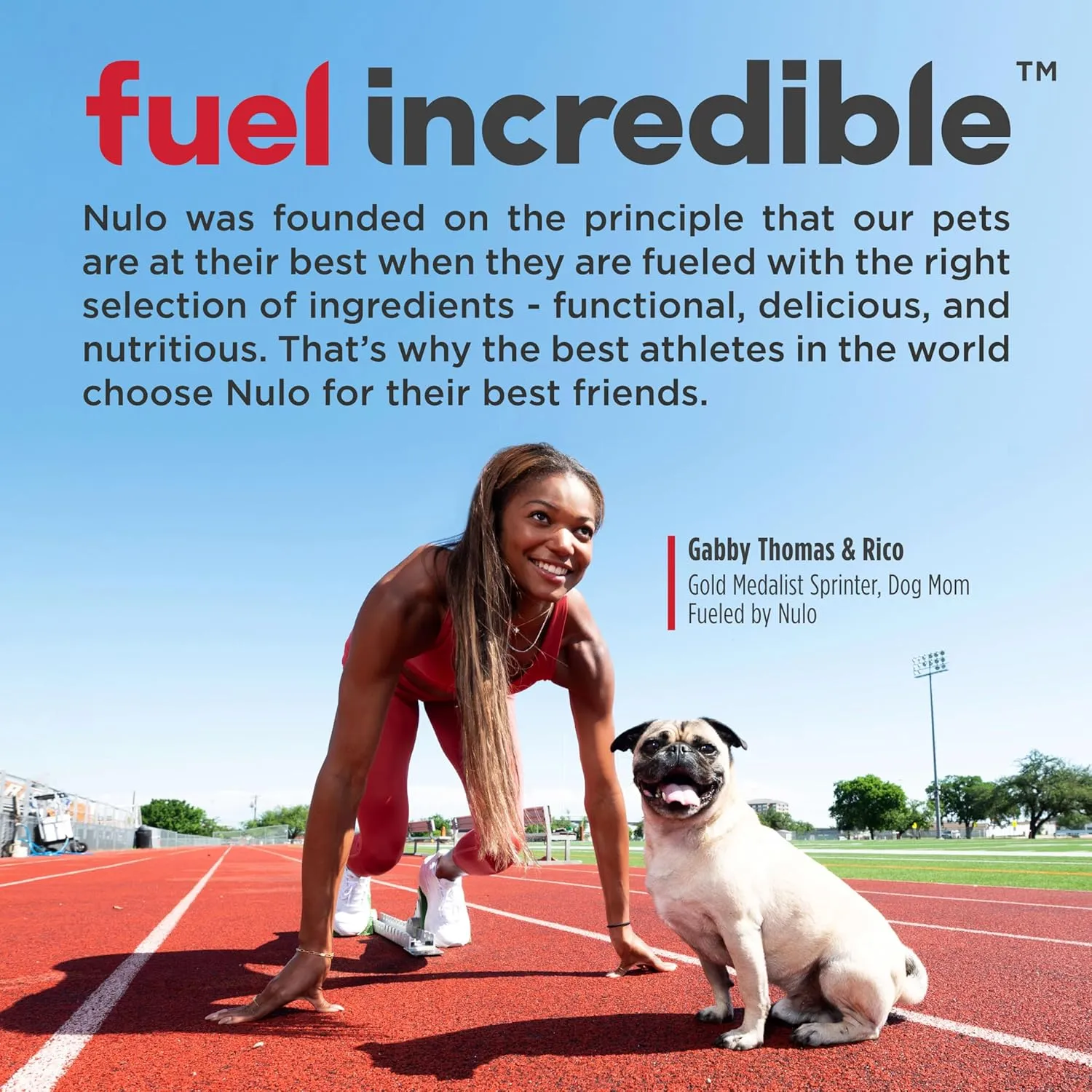 Nulo Freestyle Grain-Free Healthy Dog and Puppy Training Treats, Low Calorie Treats Made with Superfood Boost Ingredients, 2 Calories per Treat , 4 Ounce (Pack of 1)
