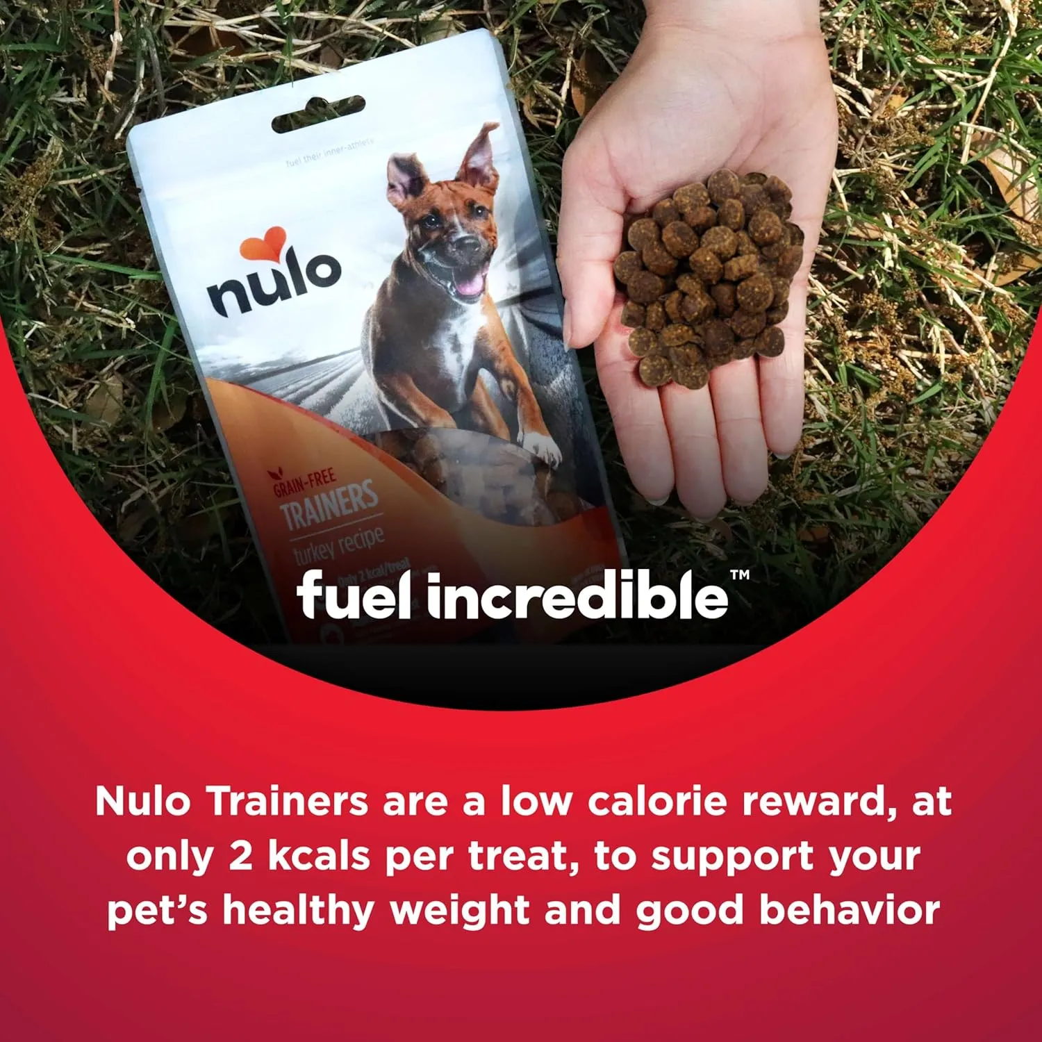 Nulo Freestyle Grain-Free Healthy Dog and Puppy Training Treats, Low Calorie Treats Made with Superfood Boost Ingredients, 2 Calories per Treat , 4 Ounce (Pack of 1)