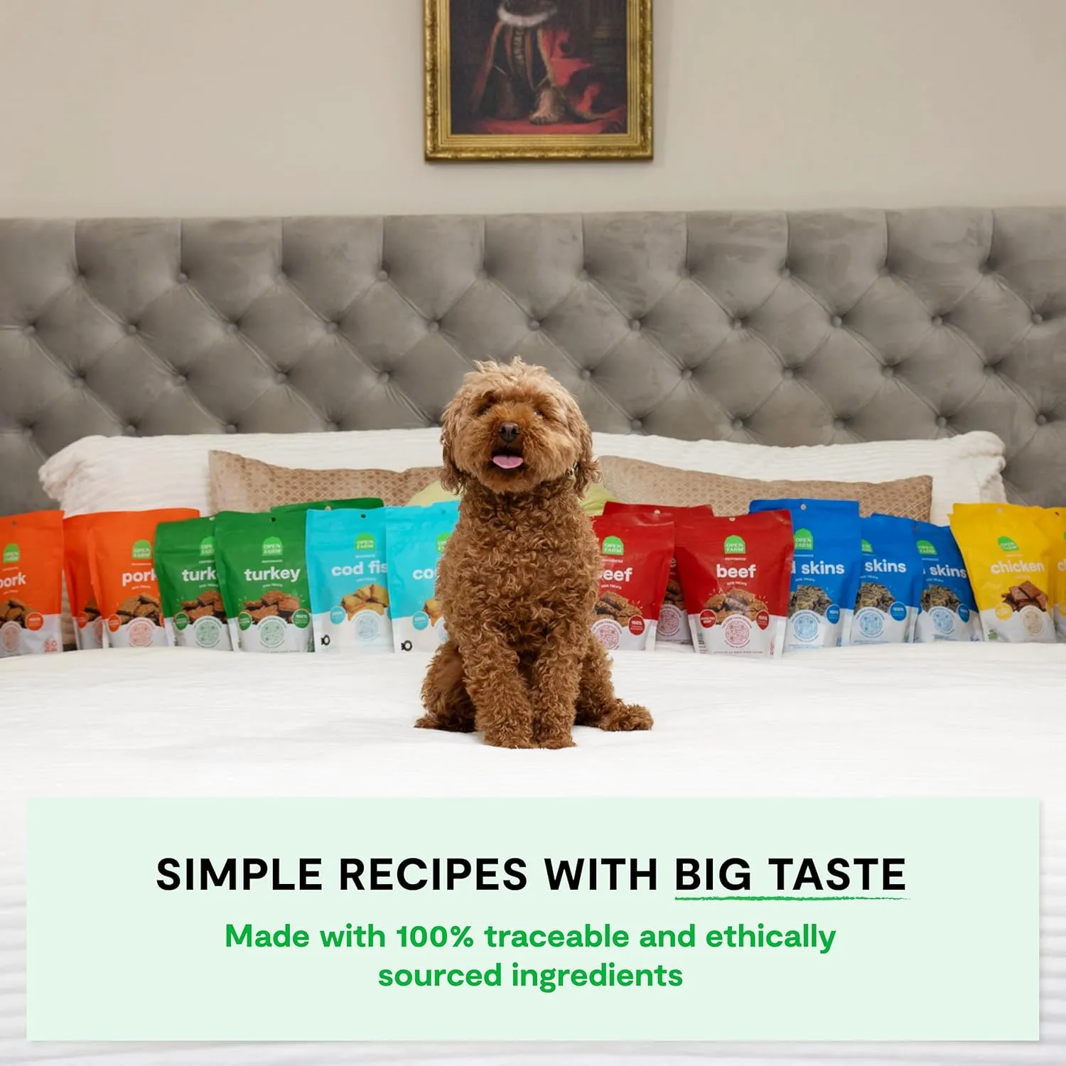 Open Farm, Dehydrated Dog Treats, High Protein & Low Carbohydrate Dog Snacks, Chewy Texture, Made with Ethically & Sustainably Sourced Ingredients, Turkey Recipe, 4.5oz Pouch