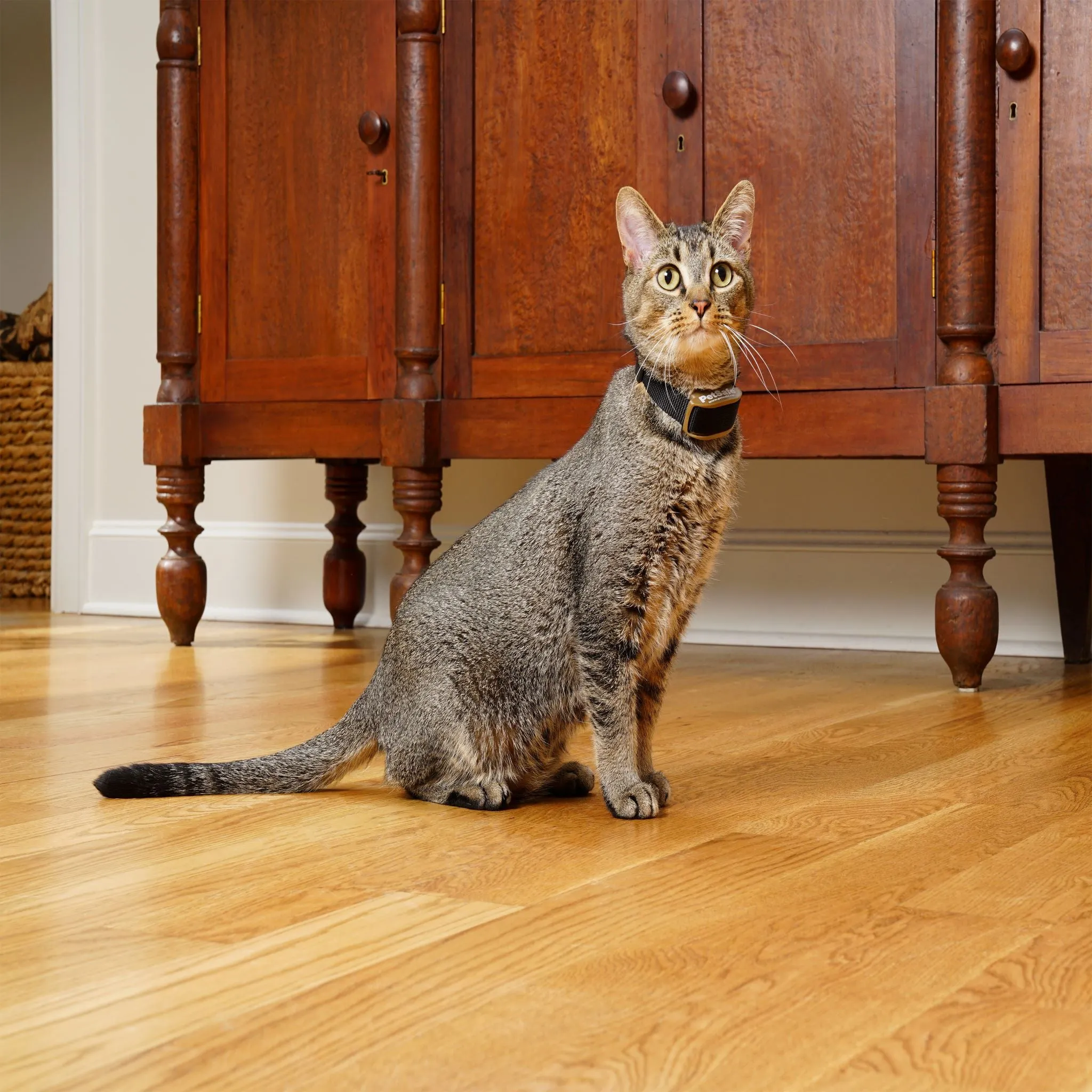 Pawz Away Extra Receiver Collar