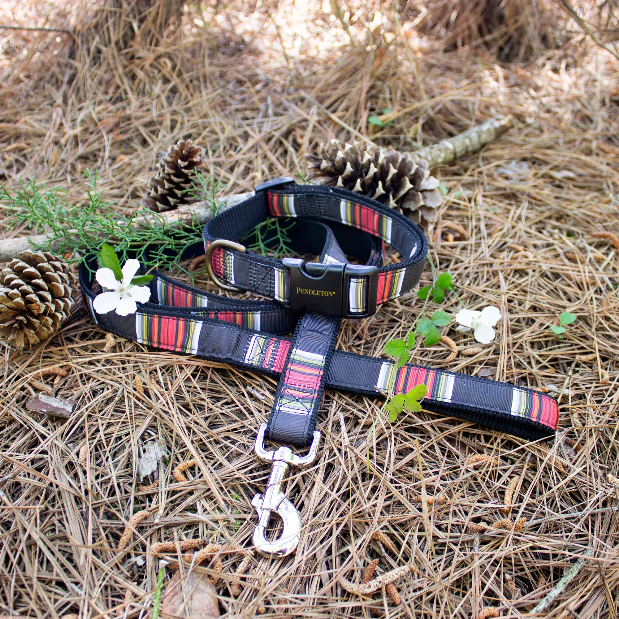 Pendleton Park Leash | Acadia