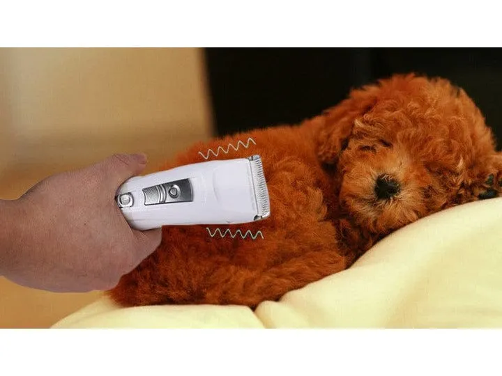 Pet Hair Cutters