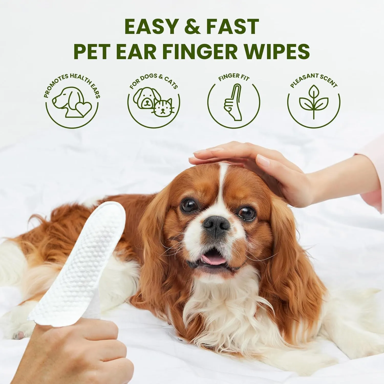 Pet Wipes for Dogs & Cats, Hypoallergenic Dog Eye Wipes Cleaner, Natural Cleaning Grooming Pet Wipes Gently Remove Stain (Ear Wipes 50 PCS, Aloe Scent)
