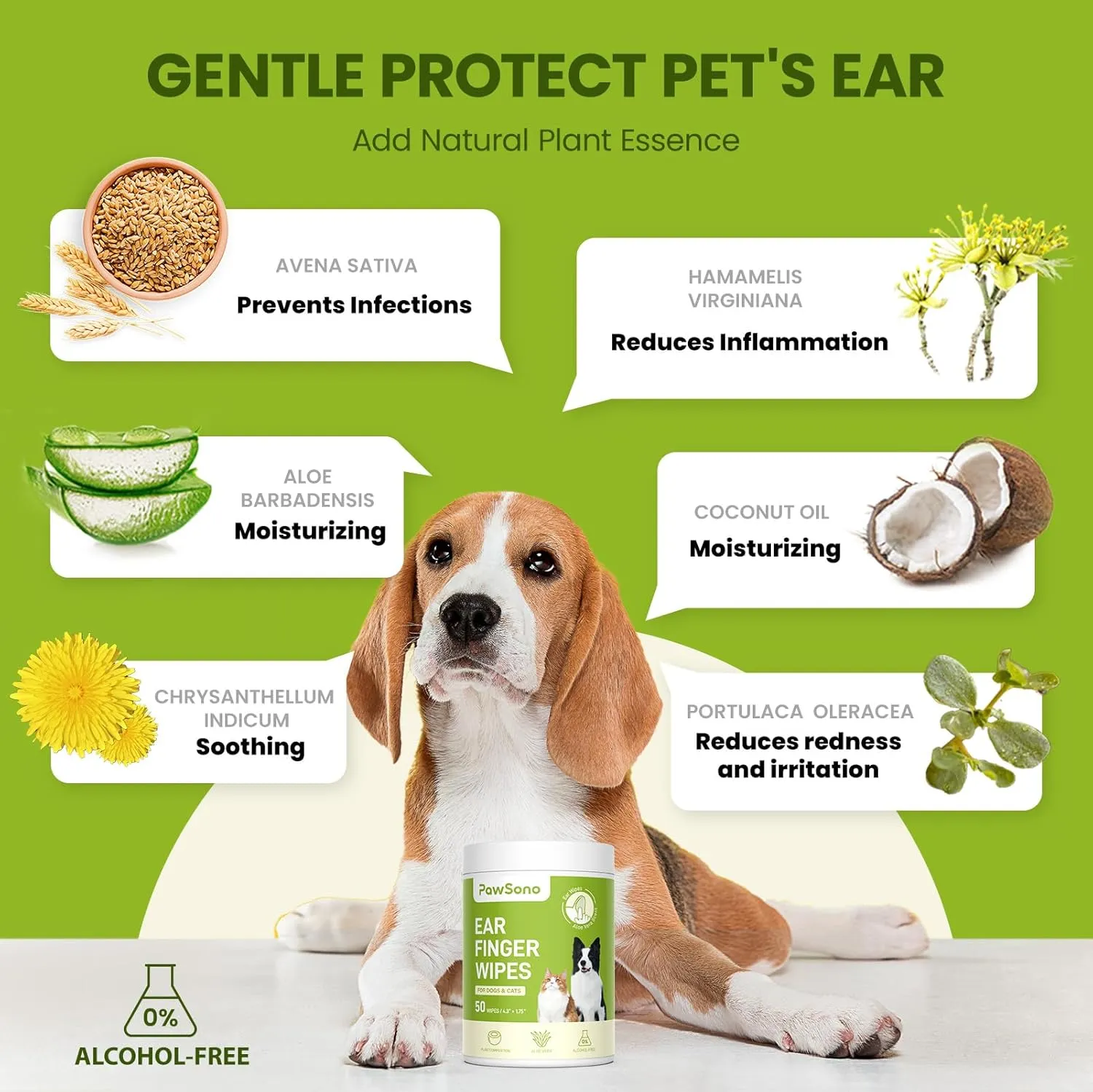 Pet Wipes for Dogs & Cats, Hypoallergenic Dog Eye Wipes Cleaner, Natural Cleaning Grooming Pet Wipes Gently Remove Stain (Ear Wipes 50 PCS, Aloe Scent)