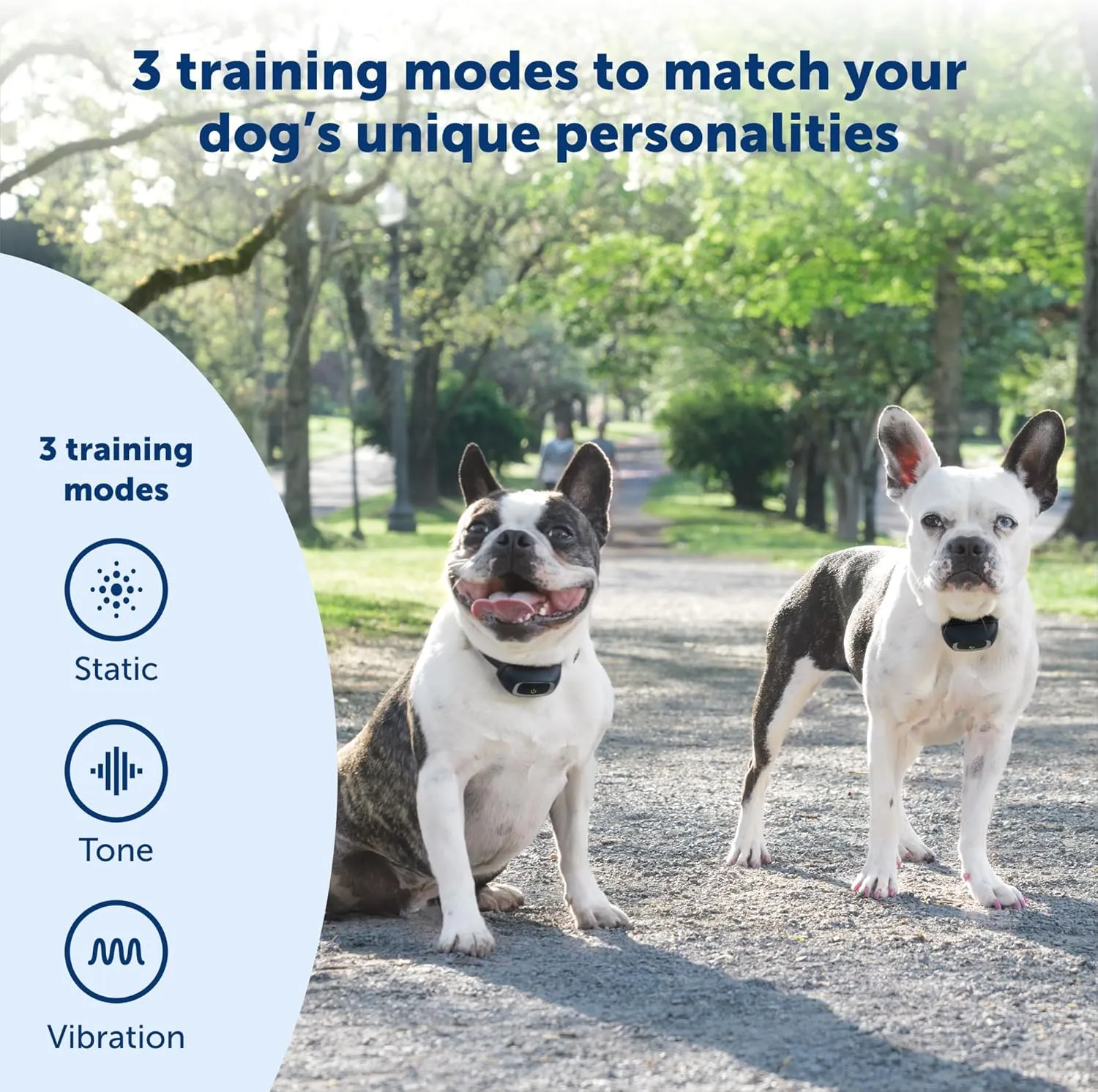 PetSafe Add-A-Dog Remote Training Collar  Smaller Version for Small or Medium Dogs  Choose from Tone, Vibration, or 15 Levels of Static Stimulation  Waterproof and Durable  Rechargeable