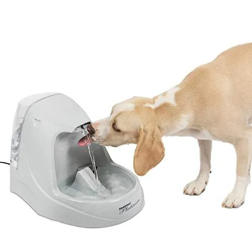 PetSafe Drinkwell Platinum Cat and Dog Water Fountain, Pet Drinking Fountain with Carbon Filter, 168 oz. Water Capacity