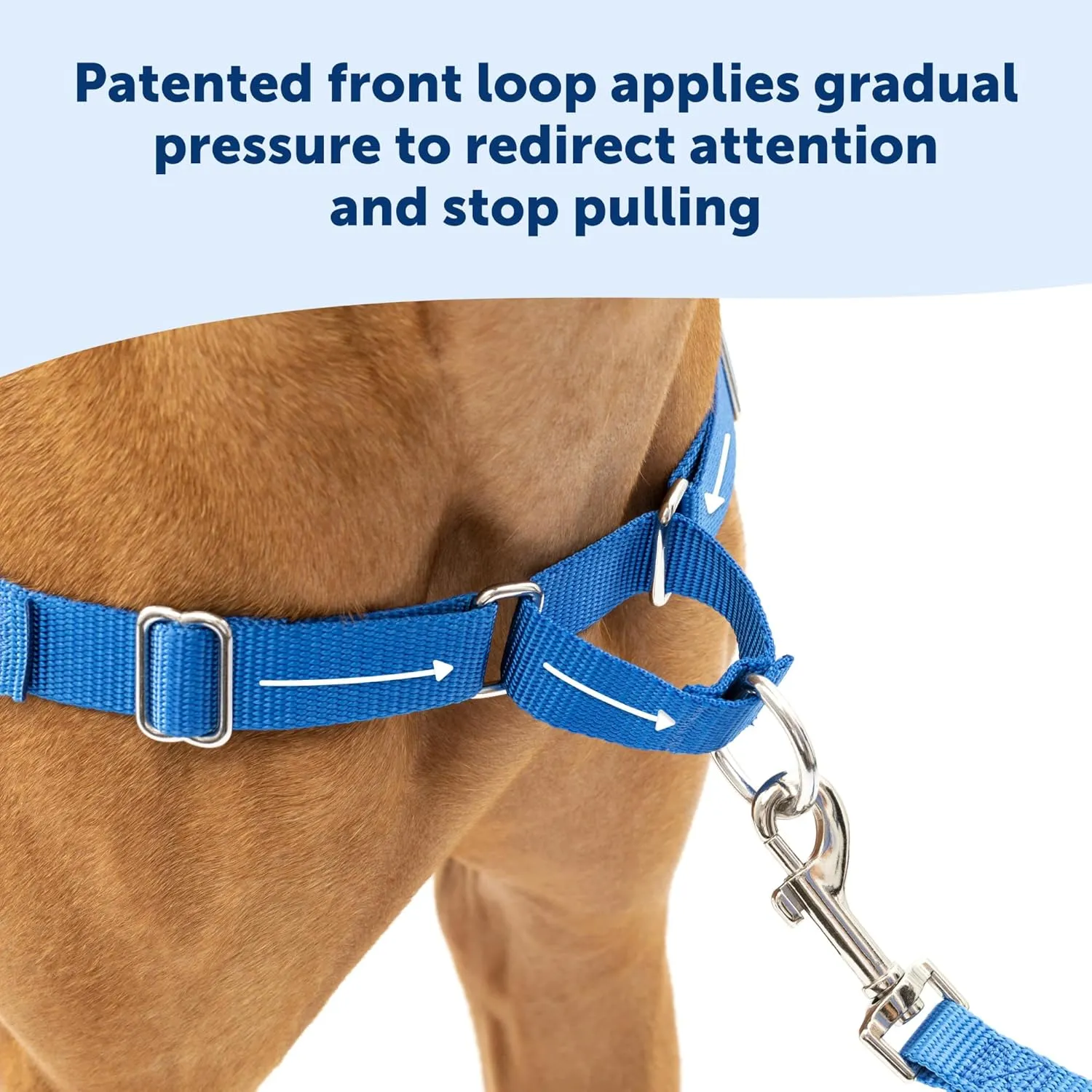 PetSafe Easy Walk No-Pull  -  -  - ,,/
