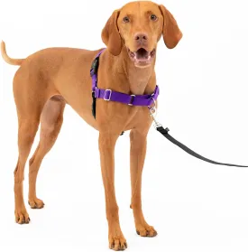 PetSafe Easy Walk No-Pull  -  -  - ,,/
